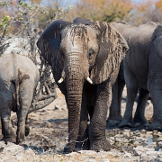 namibia-29.jpg