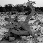 namibia-30.jpg