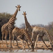 namibia-38.jpg