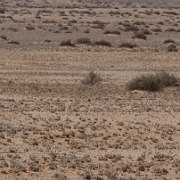 namibia-9.jpg