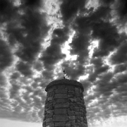 IMG_1776_edited-4.jpg