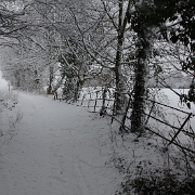 IMG_2334.JPG