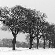 IMG_2395_bw_edited-1.jpg