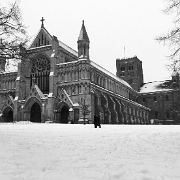 IMG_2399_bw_edited-1.jpg