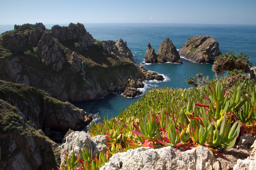 Guernsey-15