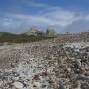 Guernsey-11.jpg