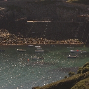 Guernsey-3.jpg