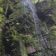 _MG_8607.jpg